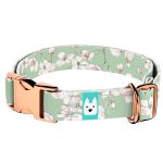 Tavaszi virágzás - Kutya Nyakörv - april & june