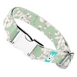 Tavaszi virágzás - Kutya Nyakörv - april & june