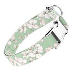 Tavaszi virágzás - Kutya Nyakörv - april & june