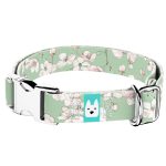 Tavaszi virágzás - Kutya Nyakörv - april & june