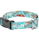 Koi tó - Kutya Nyakörv - april & june