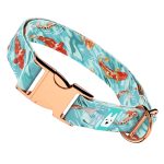 Koi tó - Kutya Nyakörv - april & june