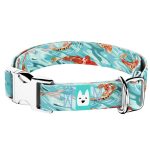 Koi tó - Kutya Nyakörv - april & june