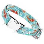 Koi tó - Kutya Nyakörv - april & june