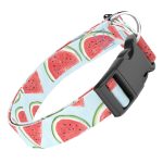 Dinnye - Kutya Nyakörv - april & june