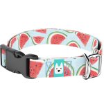 Dinnye - Kutya Nyakörv - april & june