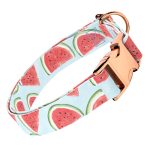 Dinnye - Kutya Nyakörv - april & june