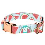 Dinnye - Kutya Nyakörv - april & june