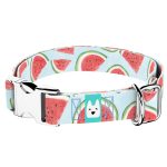 Dinnye - Kutya Nyakörv - april & june