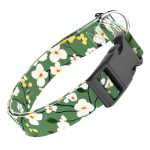 Virágzó liget - Kutya Nyakörv - april & june