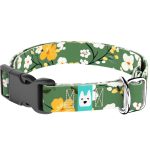 Virágzó liget - Kutya Nyakörv - april & june