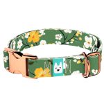 Virágzó liget - Kutya Nyakörv - april & june