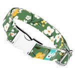 Virágzó liget - Kutya Nyakörv - april & june