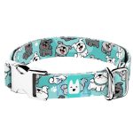 Pumi, kék - Kutya Nyakörv - april & june