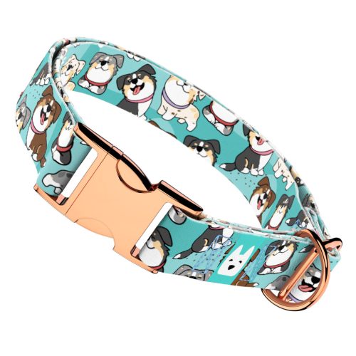 Ausztrál juhász, kék - Kutya Nyakörv - april & june