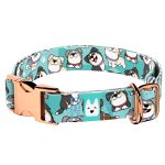 Ausztrál juhász, kék - Kutya Nyakörv - april & june