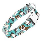 Ausztrál juhász, kék - Kutya Nyakörv - april & june