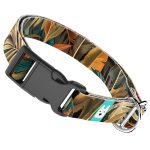 Indián nyár - Kutya Nyakörv - april & june