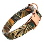 Indián nyár - Kutya Nyakörv - april & june