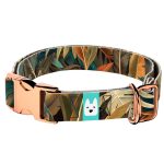 Indián nyár - Kutya Nyakörv - april & june