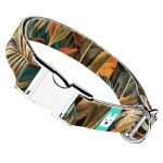 Indián nyár - Kutya Nyakörv - april & june