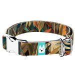 Indián nyár - Kutya Nyakörv - april & june