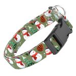 Téli fenyves - Kutya Nyakörv - april & june