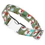 Téli fenyves - Kutya Nyakörv - april & june