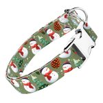 Téli fenyves - Kutya Nyakörv - april & june