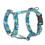 Fun on the beach - Dog Harness or Cat Harness - april & june