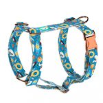 Fun on the beach - Dog Harness or Cat Harness - april & june