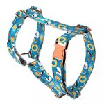 Fun on the beach - Dog Harness or Cat Harness - april & june