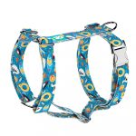 Fun on the beach - Dog Harness or Cat Harness - april & june