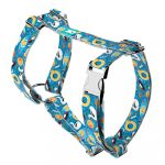 Fun on the beach - Dog Harness or Cat Harness - april & june