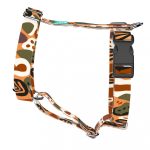 Őszi hangulat - Kutyahám és Macskahám - Autumn feeling - april & june