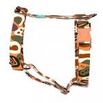 Őszi hangulat - Kutyahám és Macskahám - Autumn feeling - april & june