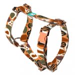 Őszi hangulat - Kutyahám és Macskahám - Autumn feeling - april & june