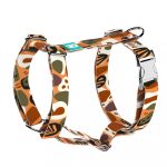 Őszi hangulat - Kutyahám és Macskahám - Autumn feeling - april & june