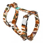 Őszi hangulat - Kutyahám és Macskahám - Autumn feeling - april & june