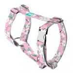 Cherry Blossom - Dog Harness or Cat Harness - april & june