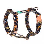 Autumn wild flowers - Dog Harness or Cat Harness - april & june