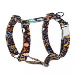 Autumn wild flowers - Dog Harness or Cat Harness - april & june