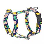 Kék Citrom - Kutyahám és Macskahám - Blue Lemon - april & june