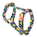 Kék Citrom - Kutyahám és Macskahám - Blue Lemon - april & june