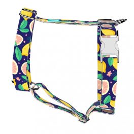 Blue Lemon - Dog Harness or Cat Harness - april & june