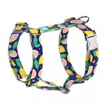 Kék Citrom - Kutyahám és Macskahám - Blue Lemon - april & june