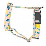 Summer Fresh - Dog Harness or Cat Harness - april & june