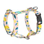 Summer Fresh - Dog Harness or Cat Harness - april & june