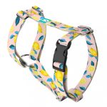 Summer Fresh - Dog Harness or Cat Harness - april & june