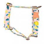 Summer Fresh - Dog Harness or Cat Harness - april & june